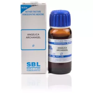 SBL Angelica Archangelica 1X (Q) (30ml)