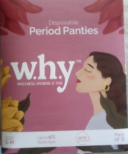 Disposable Period Panty L/XL