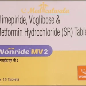 Wonride MV2 Tablet